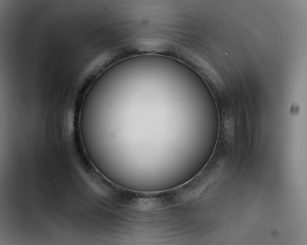 X0000103330686200809051210