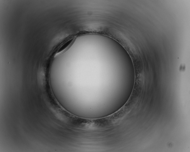 X0000103330688200809051210