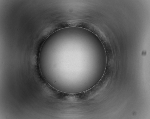 X0000103330689200809051210