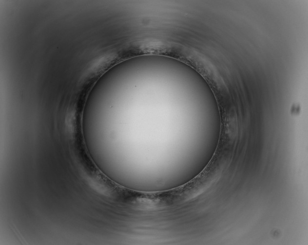 X0000103330690200809051210