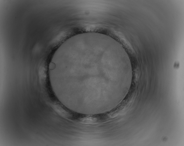 X0000103330691200809051210