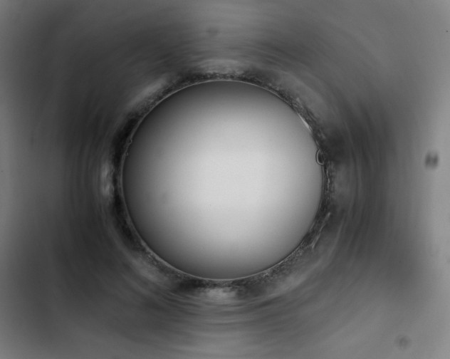 X0000103330692200809051210