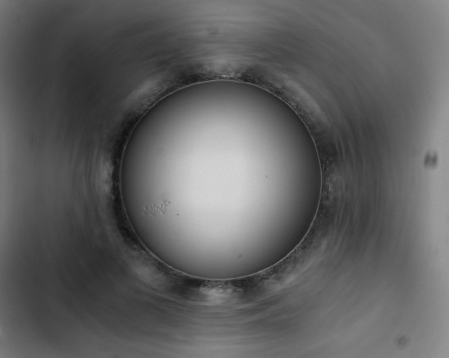 X0000103330693200809051210