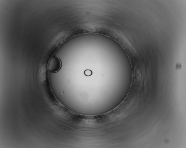 X0000103330694200809051210