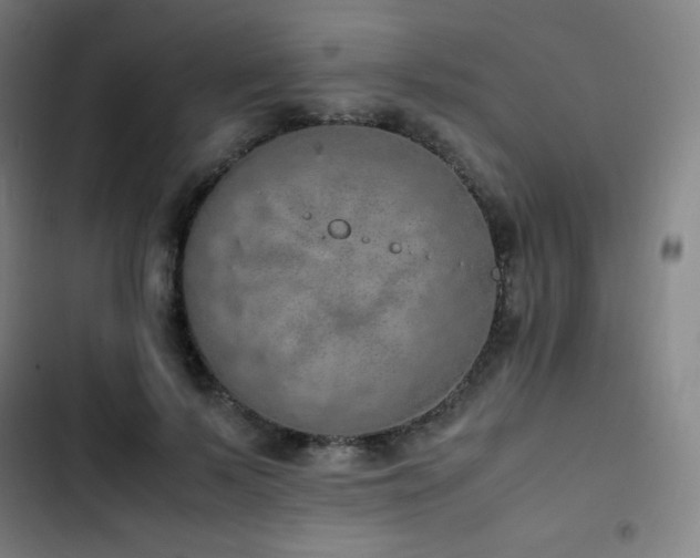 X0000103330695200809051210