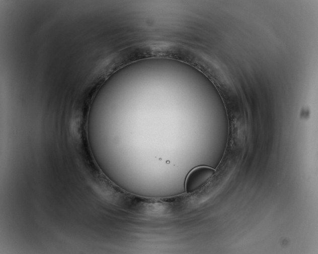 X0000103330698200809051210