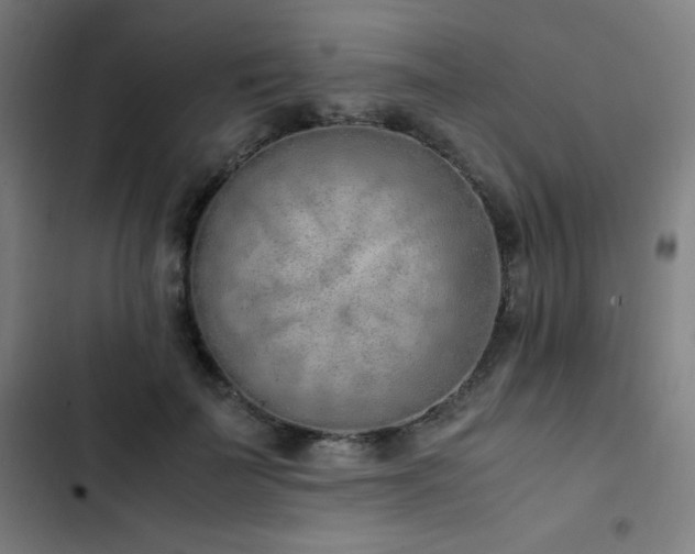 X0000103330699200809051210