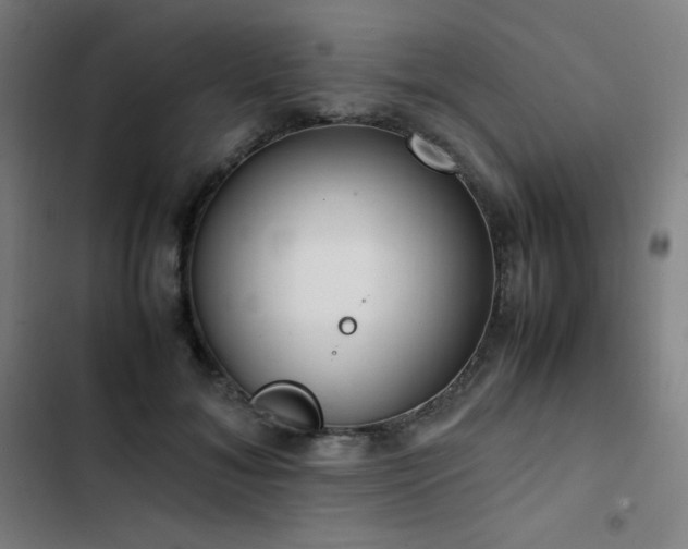 X0000103330700200809051210