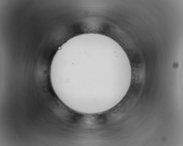 X0000103330701200809051210