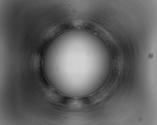 X0000103330702200809051210