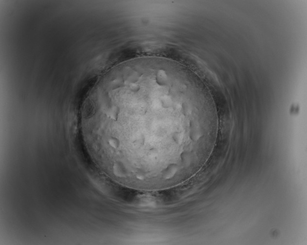 X0000103330703200809051210