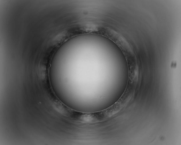 X0000103330704200809051210