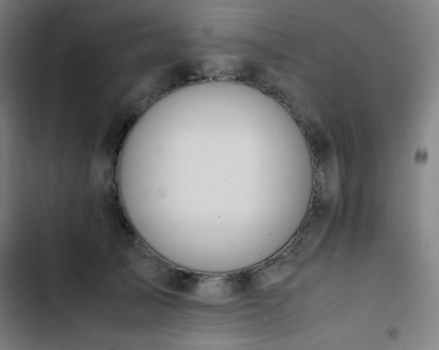 X0000103330705200809051210