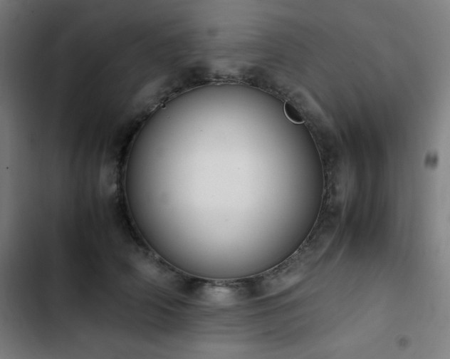 X0000103330706200809051210