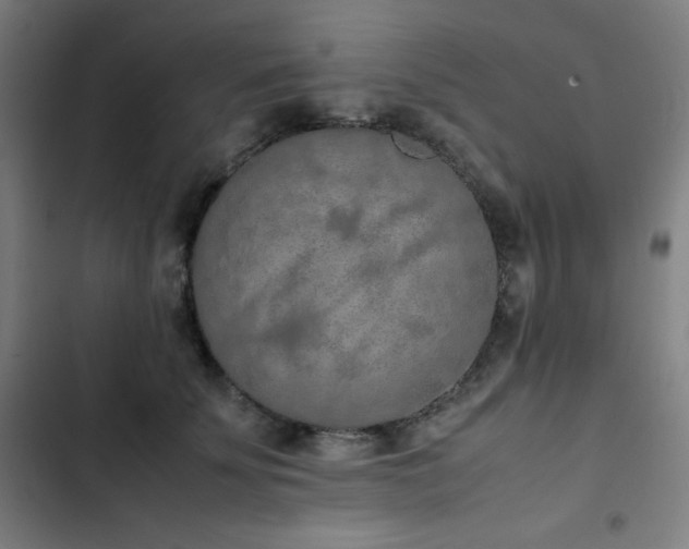 X0000103330707200809051210