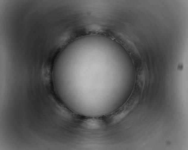 X0000103330708200809051210