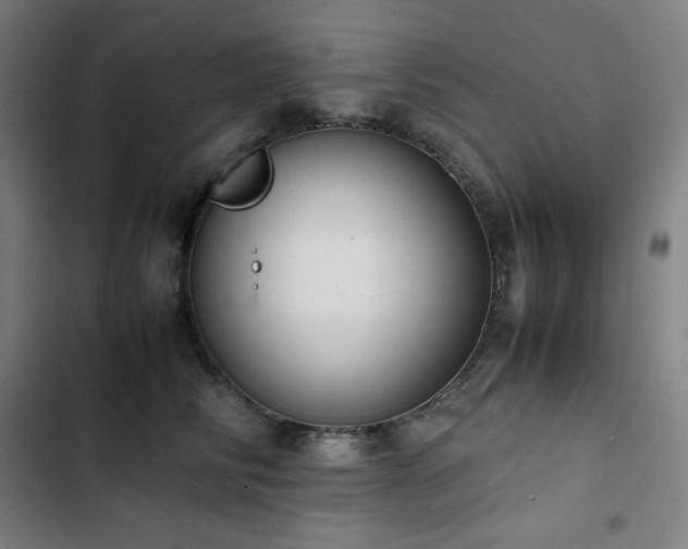 X0000103330710200809051209