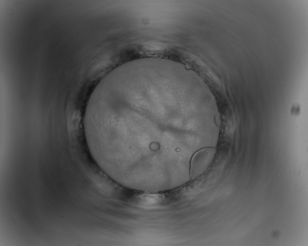 X0000103330711200809051209