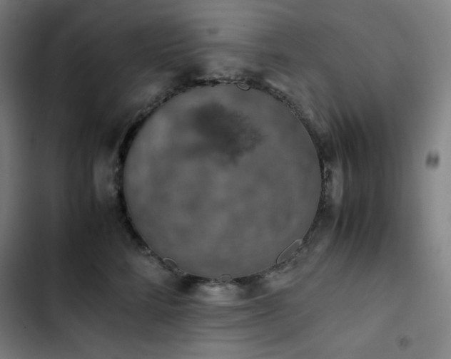 X0000103330712200809051209