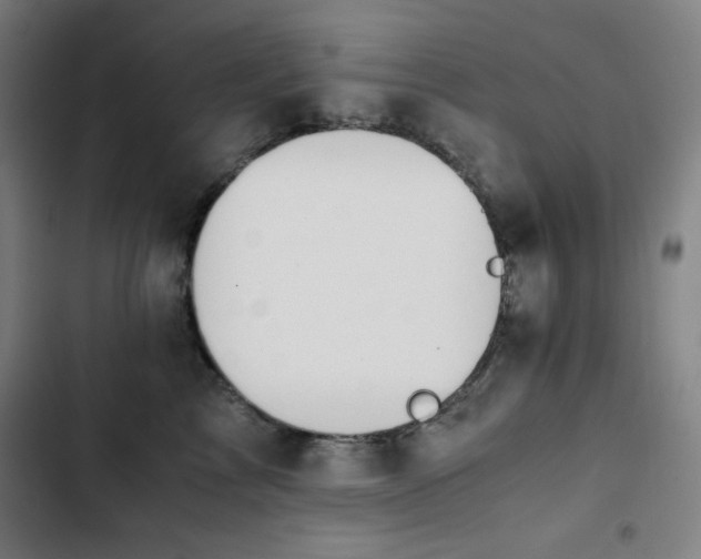 X0000103330713200809051209