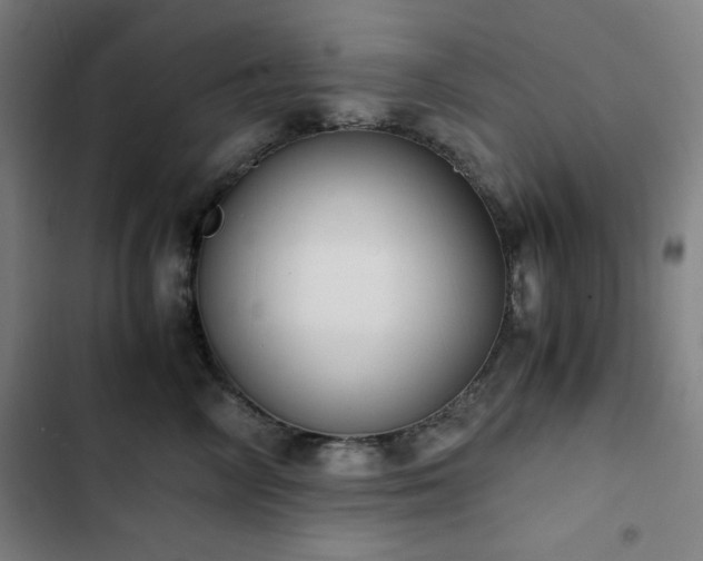 X0000103330714200809051209