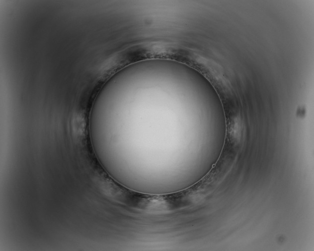 X0000103330715200809051209