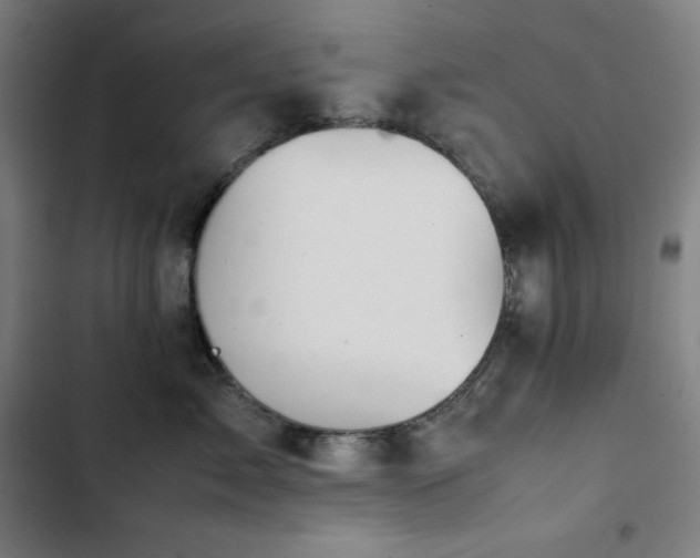 X0000103330717200809051209