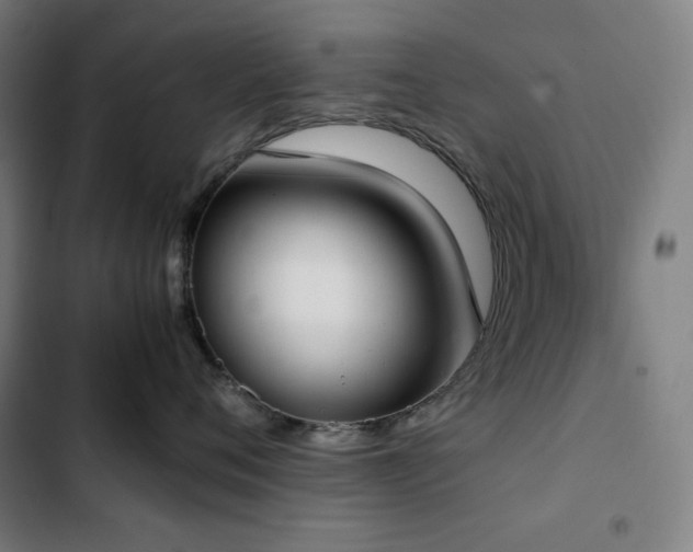 X0000103330720200809051209