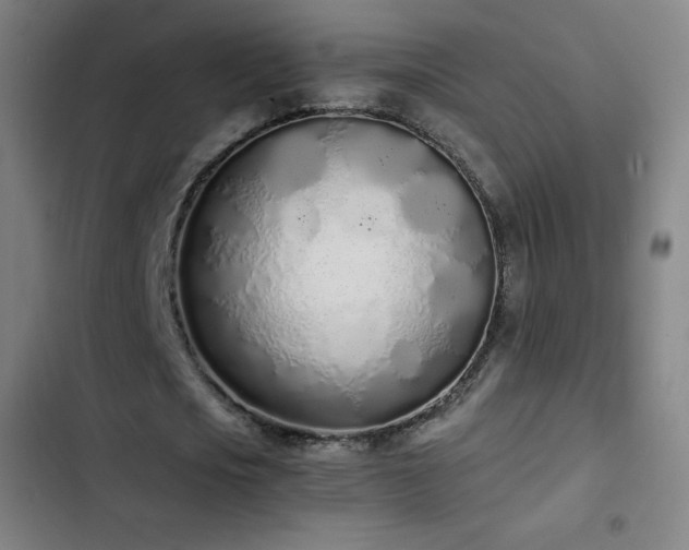 X0000103330721200809051209