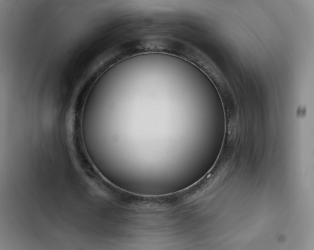 X0000103330722200809051209