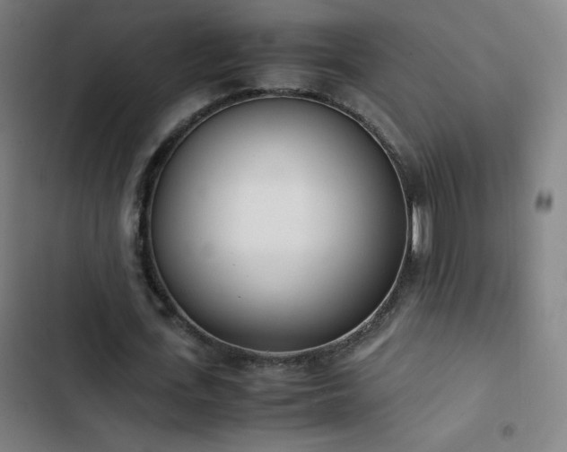 X0000103330723200809051209