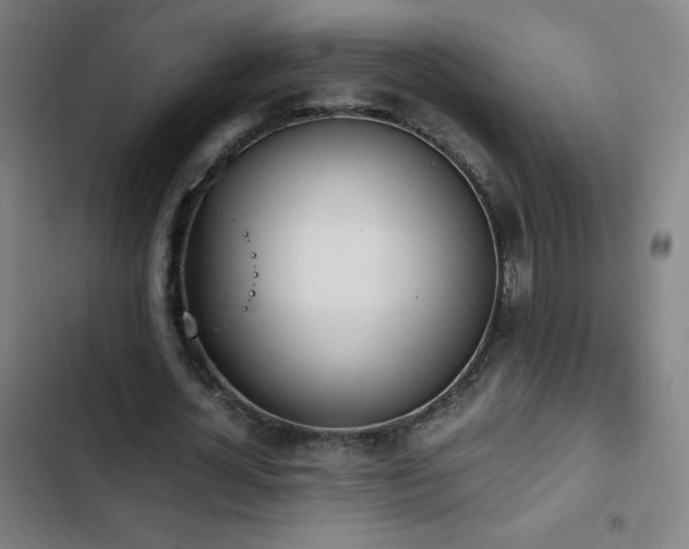 X0000103330724200809051209