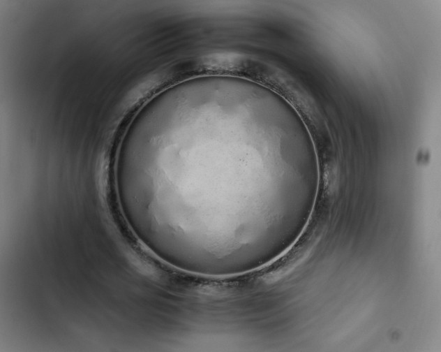 X0000103330725200809051209