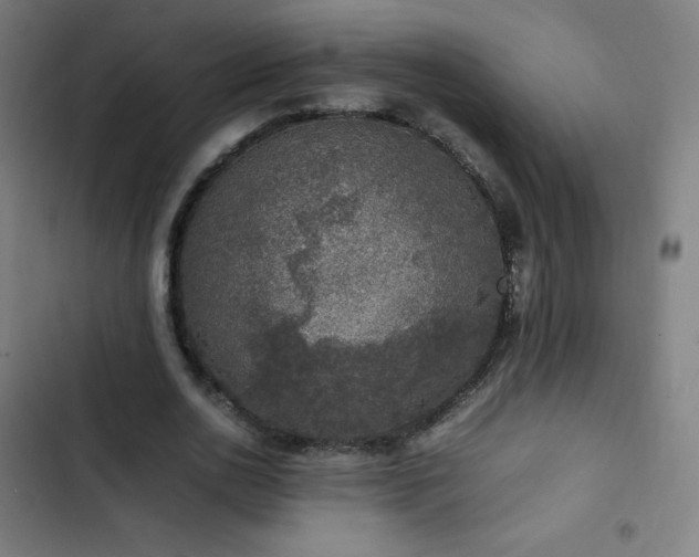 X0000103330726200809051209