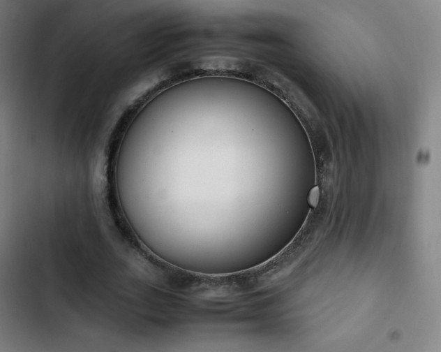 X0000103330727200809051209