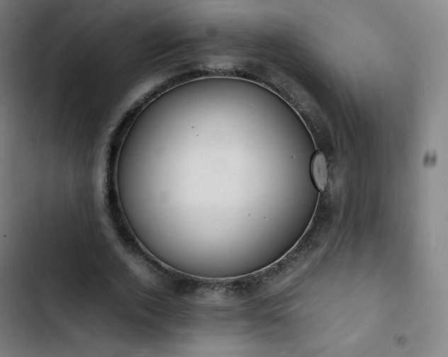 X0000103330728200809051209