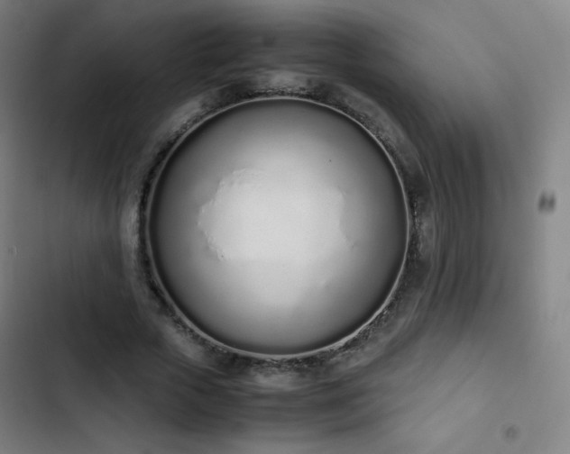 X0000103330729200809051209