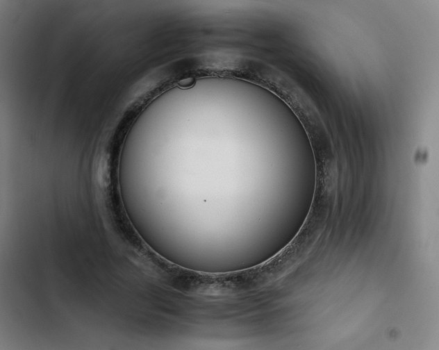 X0000103330731200809051209