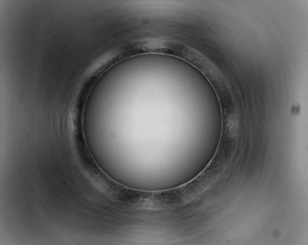 X0000103330732200809051209