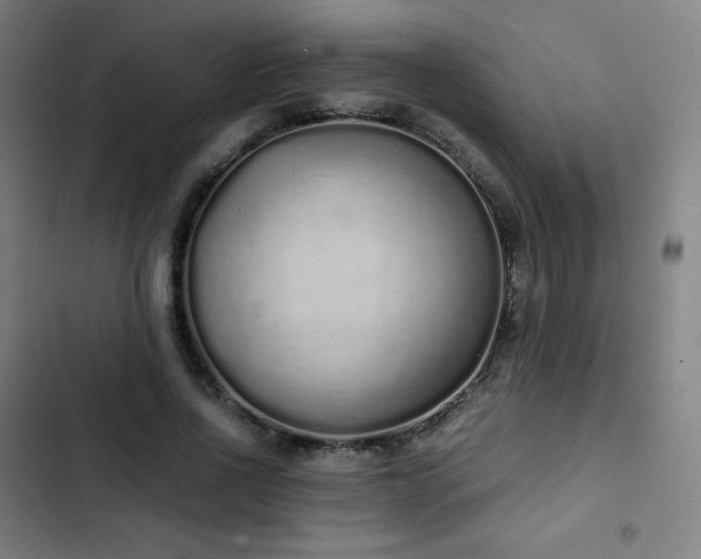 X0000103330734200809051209