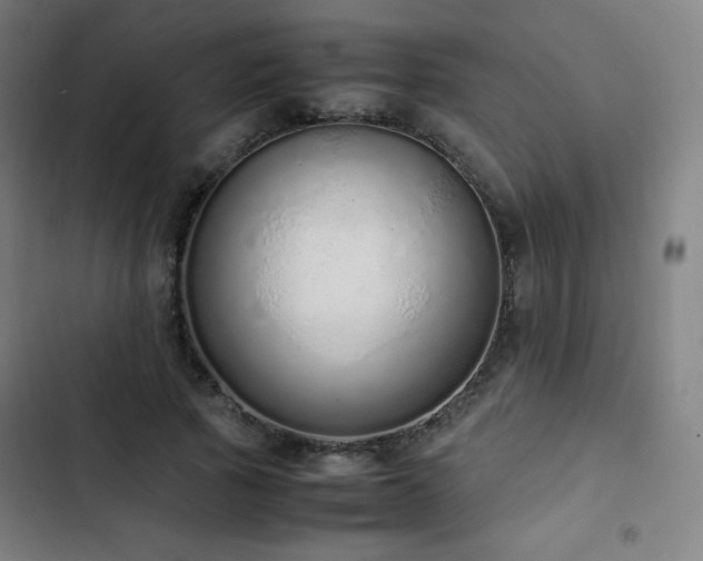 X0000103330737200809051209