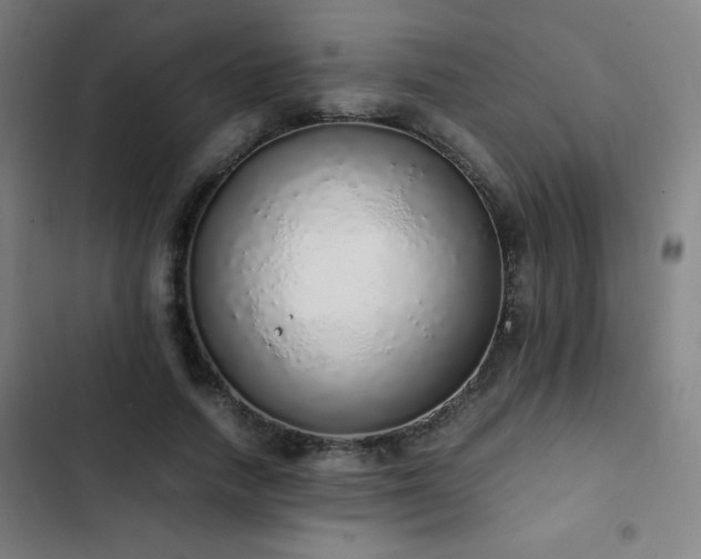 X0000103330738200809051209