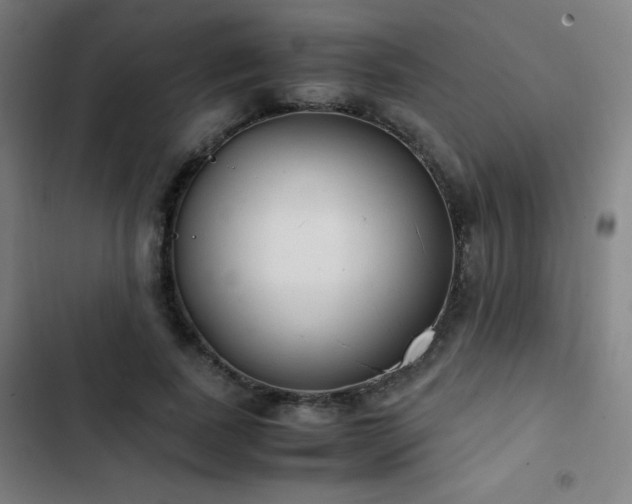 X0000103330739200809051209