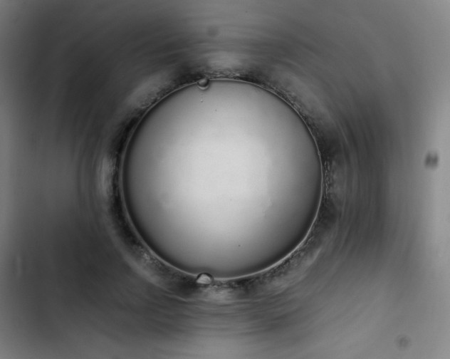 X0000103330742200809051209