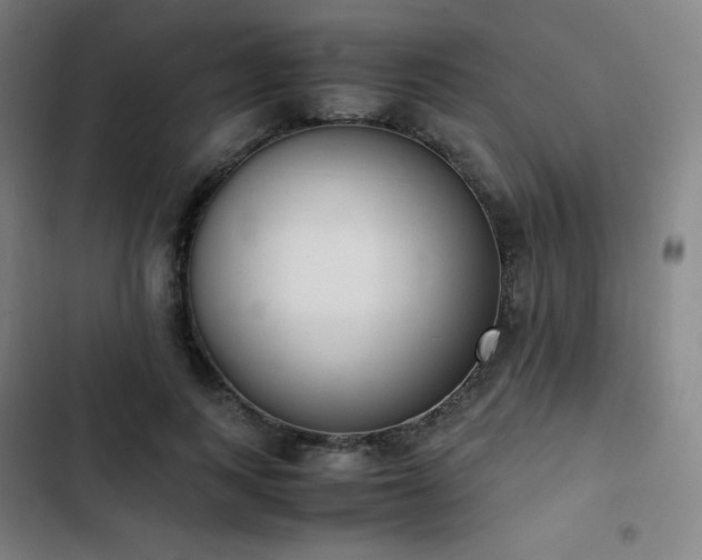 X0000103330743200809051209