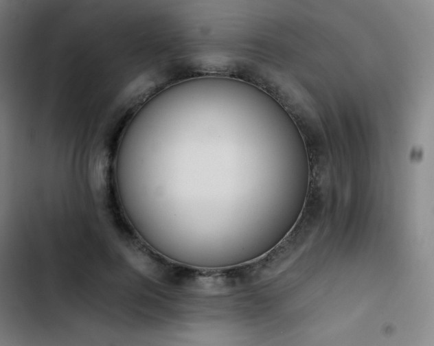 X0000103330744200809051209