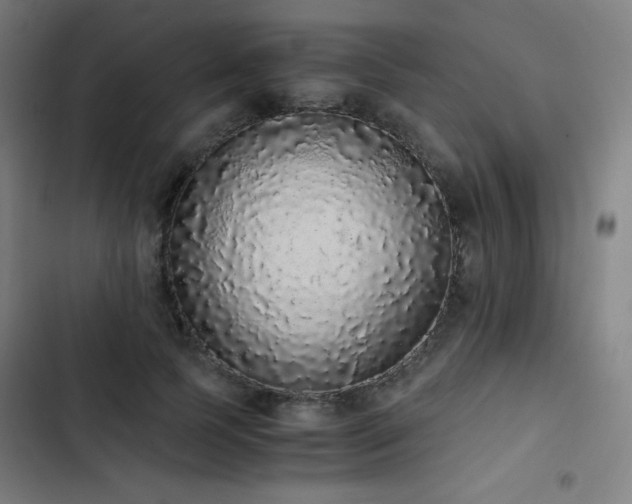 X0000103330745200809051209