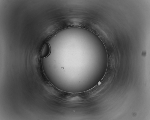 X0000103330747200809051209