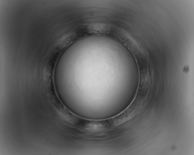 X0000103330749200809051209