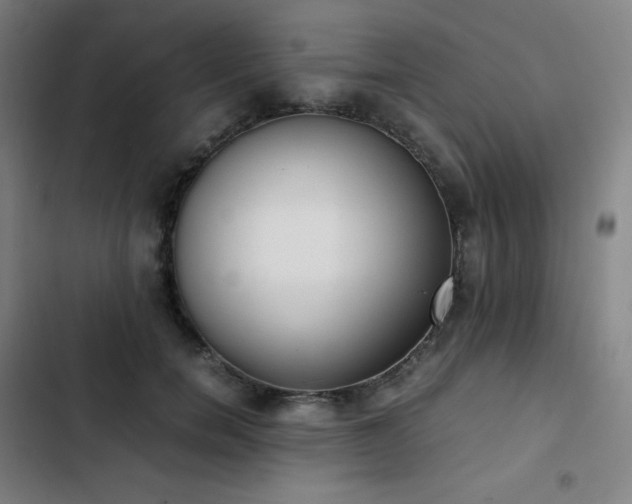 X0000103330750200809051209